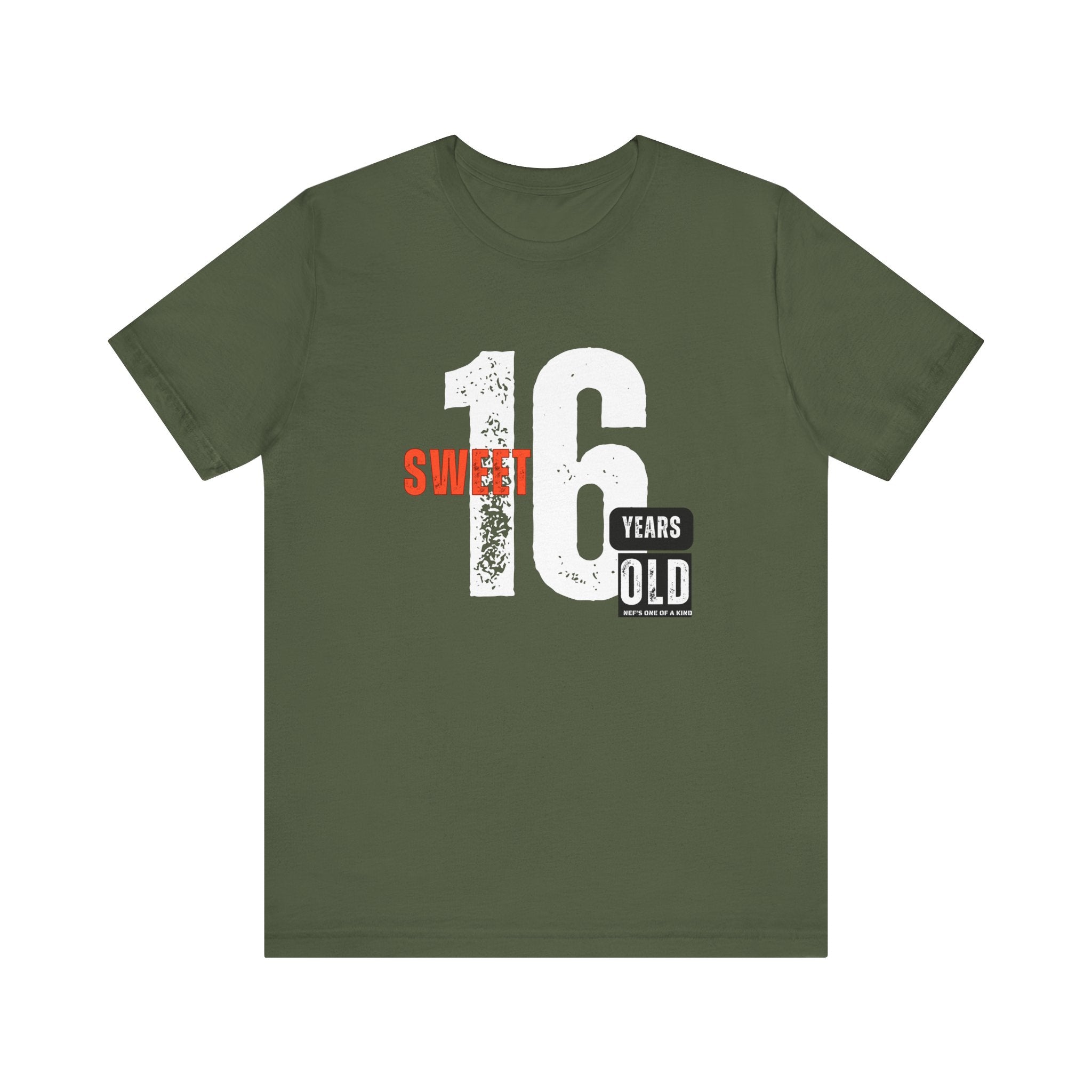 16year Old Unisex Adult Tee